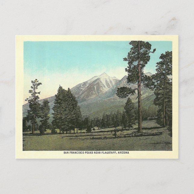 Vintage San Francisco Peaks Postcard (Front)