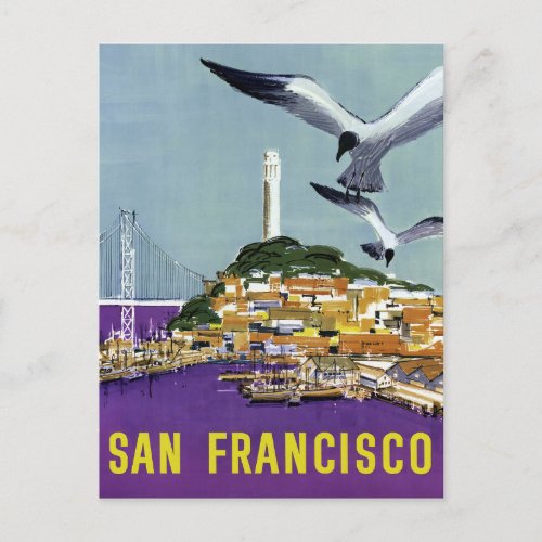 Vintage San Francisco Sea Gulls Travel Postcard