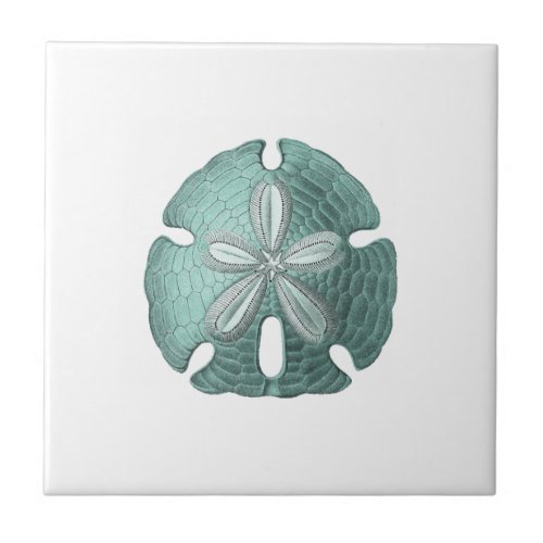 Vintage Sand Dollar Antique Sea Urchin Drawing Ceramic Tile