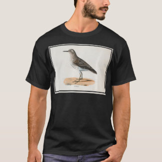 Vintage Sandpiper Bird Illustration (1842) queen T-Shirt