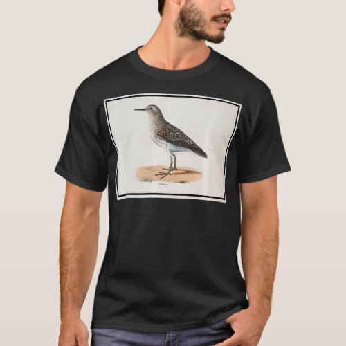 Vintage Sandpiper Bird Illustration 1842 queen  T_Shirt