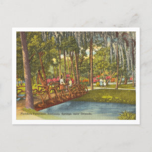 Vintage Sanlando Springs Orlando Sanford Florida Postcard