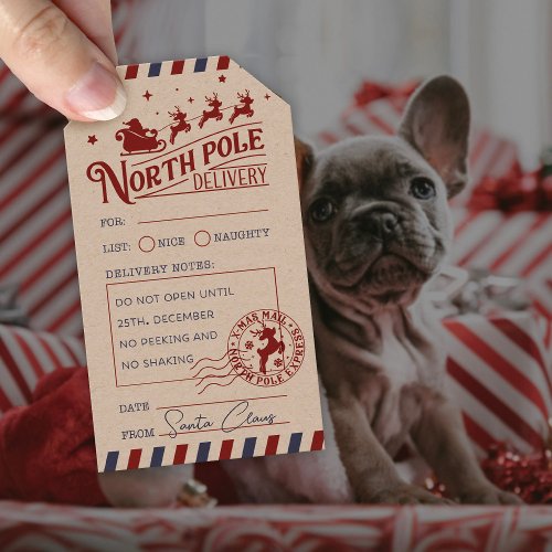Vintage Santa Claus North Pole Special Delivery Gift Tags