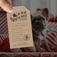 Vintage Santa Claus North Pole Special Delivery