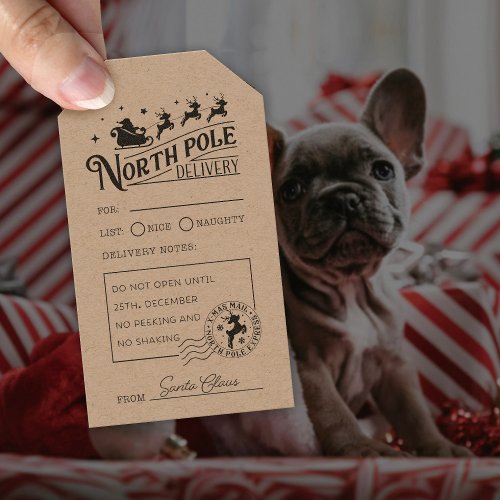 Vintage Santa Claus North Pole Special Delivery Rubber Stamp