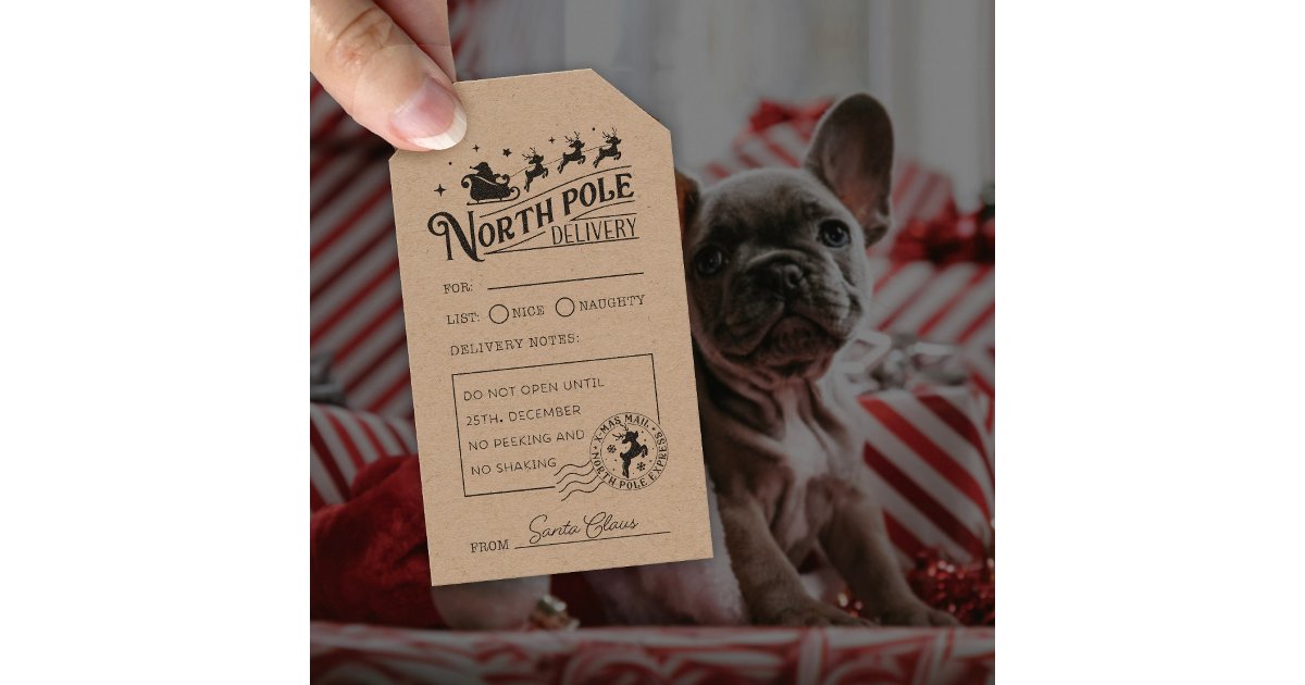 Vintage Santa Claus North Pole Special Delivery Rubber Stamp | Zazzle
