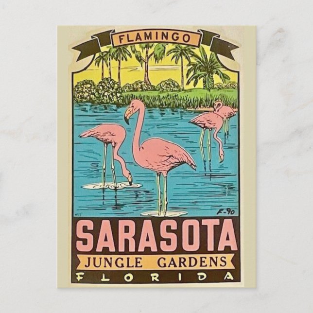 Vintage Sarasota Flamingo Card (Front)