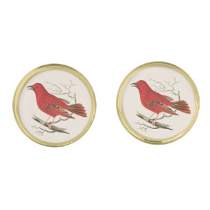 Vintage Scarlet Tanager Naturalist Bird Decor Art Cufflinks