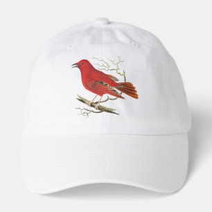 Vintage Scarlet Tanager Naturalist Bird Decor Art Hat