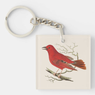Vintage Scarlet Tanager Naturalist Bird Decor Art Keychain
