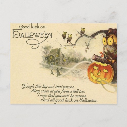 Vintage Scary Owl Jack O Lantern Witches Halloween Postcard
