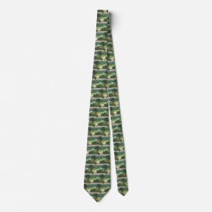 Vintage Scenic American Highways, Cars Road Trip Tie