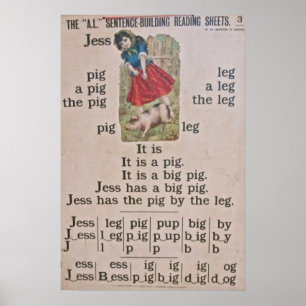 Vintage School Poster Poster