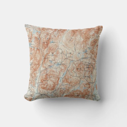 Vintage Schroon Lake New York Topographical Map Throw Pillow