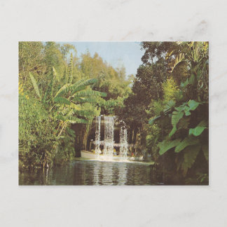 Vintage Schweitzer Falls Postcard