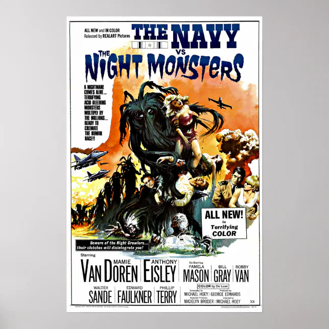 ponytail palm plant Ponytail Palm | Palm Trees For Sale