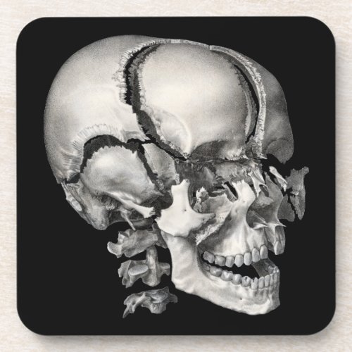 Vintage Science Human Anatomy Antique Skull Beverage Coaster