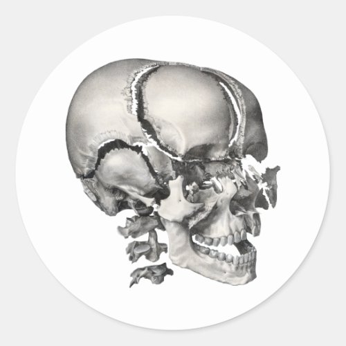 Vintage Science Human Anatomy Antique Skull Classic Round Sticker