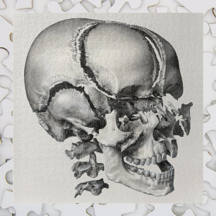 Vintage Science Human Anatomy, Antique Skull Jigsaw Puzzle