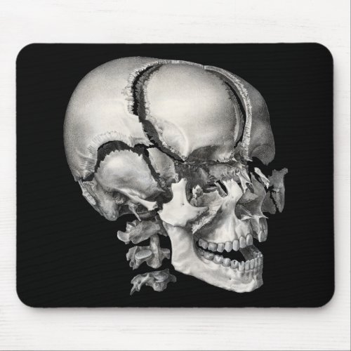 Vintage Science Human Anatomy Antique Skull Mouse Pad