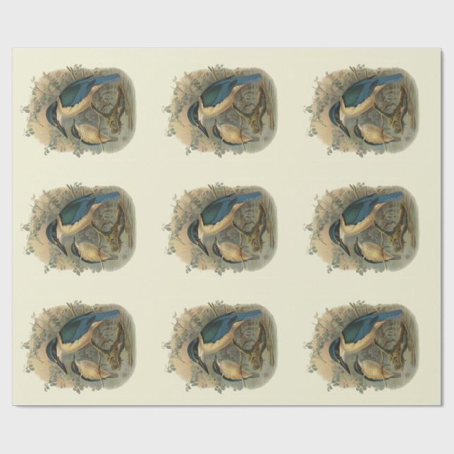 Vintage Science NZ Birds - Kingfishers Wrapping Paper (Flat)