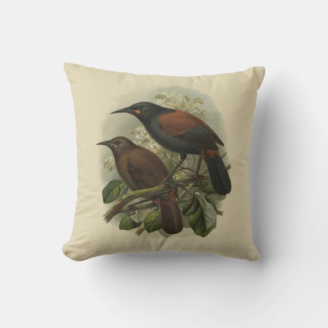 Vintage Science NZ Birds - Saddleback Throw Pillow (Front)