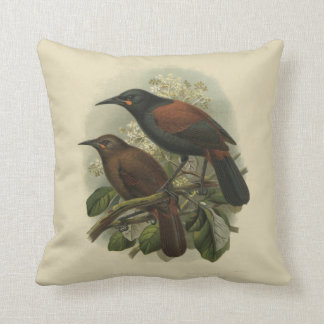 Vintage Science NZ Birds - Saddleback Throw Pillow