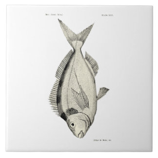 Vintage Science NZ Fish Tarakihi Ceramic Tile