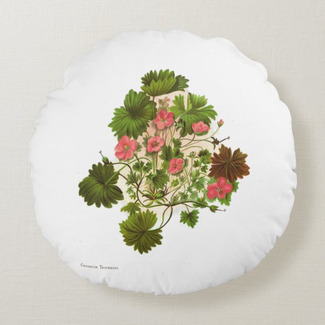 Vintage Science  NZ Flowers - Geranium traversii Round Pillow (Front)