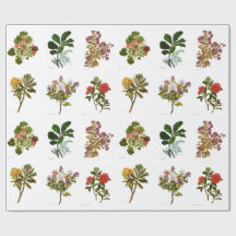 Vintage Science NZ Flowers