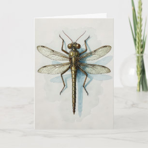Vintage Scientific Dragonfly Illustration Nature L Card