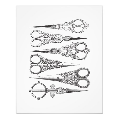 Vintage Scissors Elegant Black White Decorative Photo Print