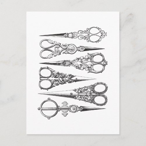 Vintage Scissors Elegant Black White Decorative Postcard