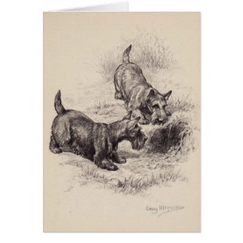 Vintage - Scottish Terriers & A Rabbit Hole  by AsTimeGoesBy at Zazzle