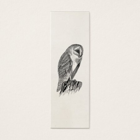 Vintage Screech Owl Bird Illustration Template