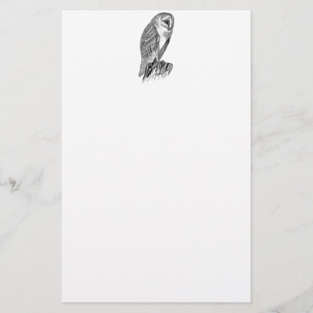 Vintage Screech Owl Bird Illustration Template Stationery (Front)