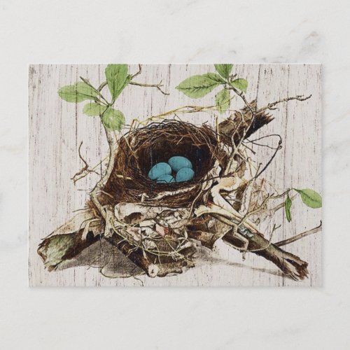 vintage script ephemera bird nest french botanical postcard