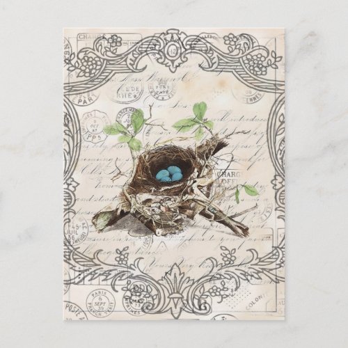 vintage script ephemera bird nest french botanical postcard