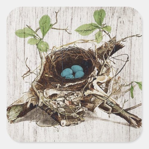 vintage script ephemera bird nest french botanical square sticker