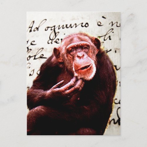 vintage scripts funny Chimpanzee Postcard