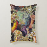 Vintage Sea Anemones, Actiniae by Ernst Haeckel Accent Pillow