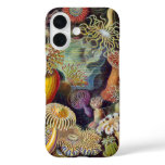 Vintage Sea Anemones, Actiniae by Ernst Haeckel iPhone 16 Case