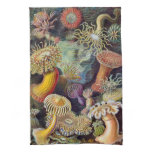 Vintage Sea Anemones, Actiniae by Ernst Haeckel Kitchen Towel