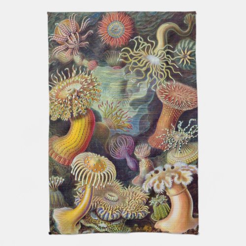 Vintage Sea Anemones Actiniae by Ernst Haeckel Kitchen Towel