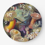 Vintage Sea Anemones, Actiniae by Ernst Haeckel Large Clock