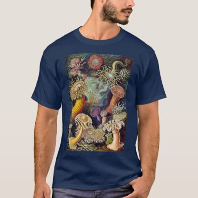 Vintage Sea Anemones, Actiniae by Ernst Haeckel T-Shirt
