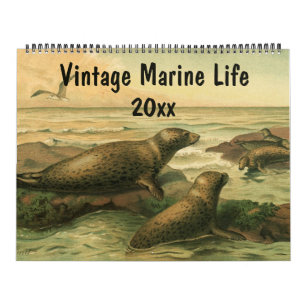 Vintage Sea Creatures and Ocean Marine Life Animal Calendar