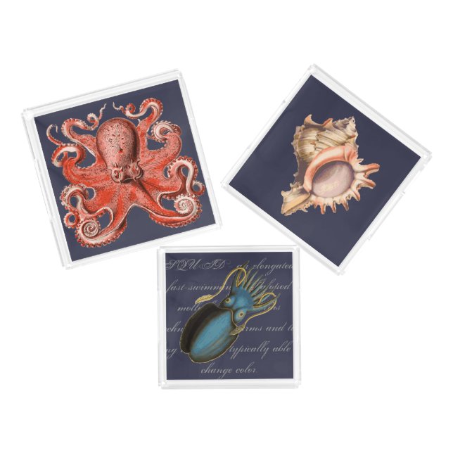 Vintage Sea Creatures & Shell Nautical Acrylic Tray (Set)