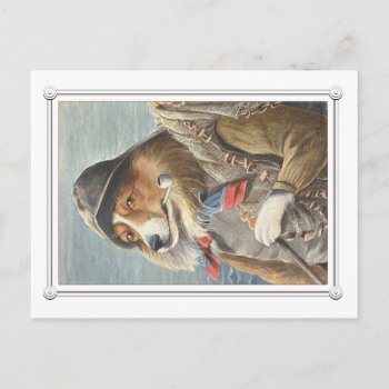 Vintage Sea Dog Postcard - Fishing by vintagecreations at Zazzle