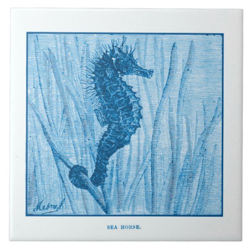 Vintage Sea Horse Delft Blue Dutch Style Nautical Ceramic Tile